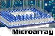 MicroArray Informatics Team logo